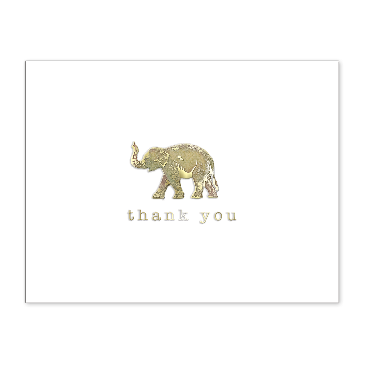 Elegant Boxed Thank You Note Cards Elephant