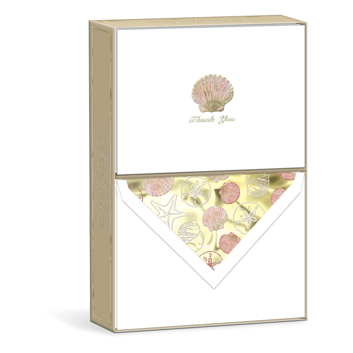 Elegant Boxed Thank You Note Cards Shell
