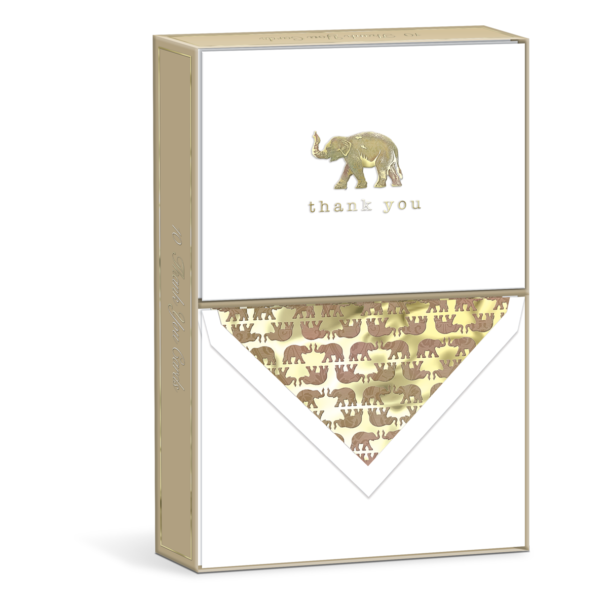 Elegant Boxed Thank You Note Cards Elephant