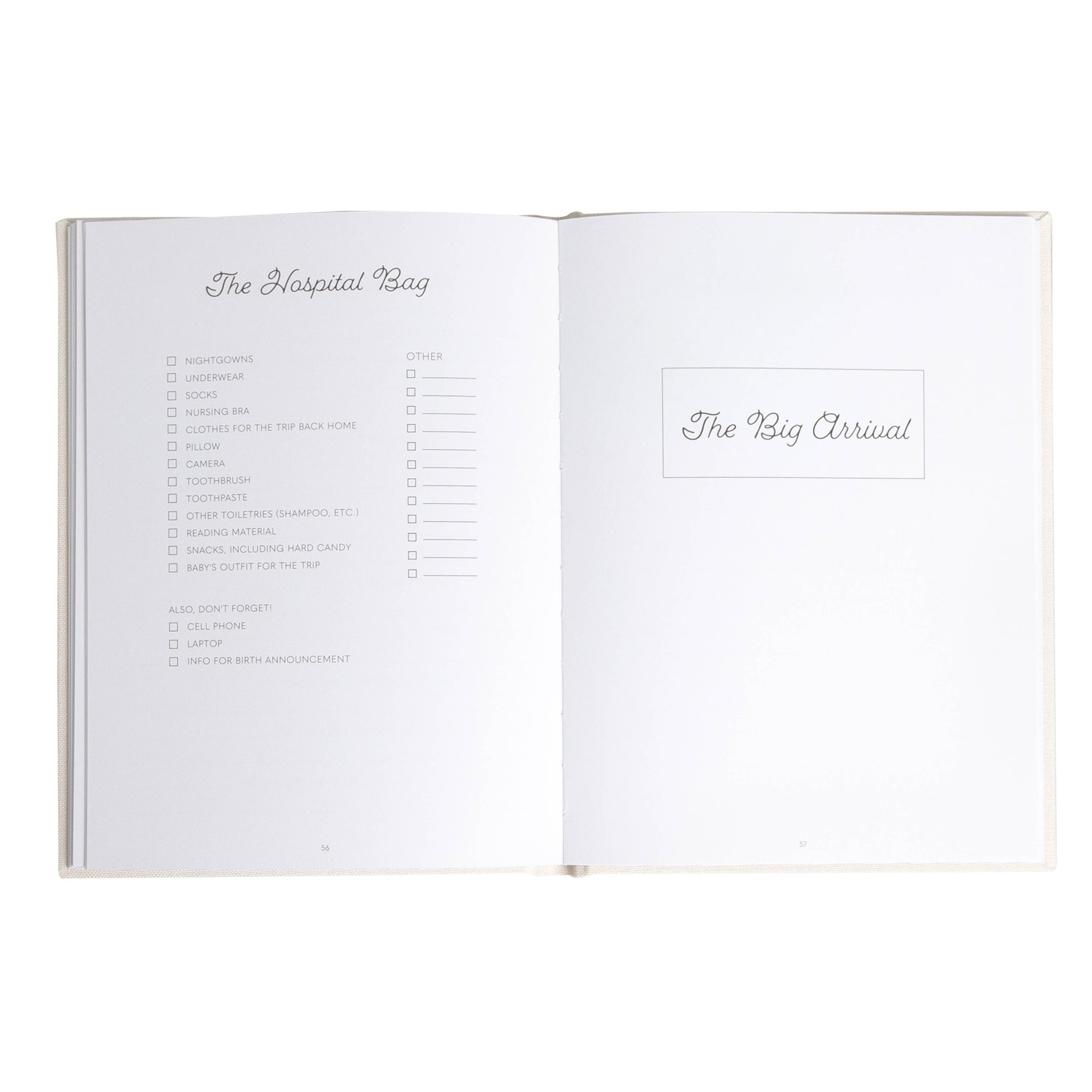 Linen Pregnancy Journal