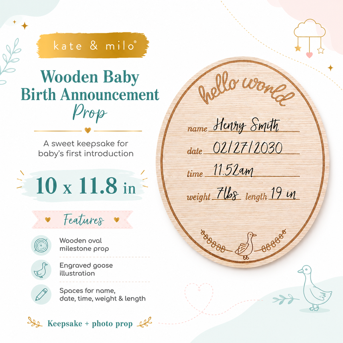Hello Baby Goose Wooden Birth Announcement