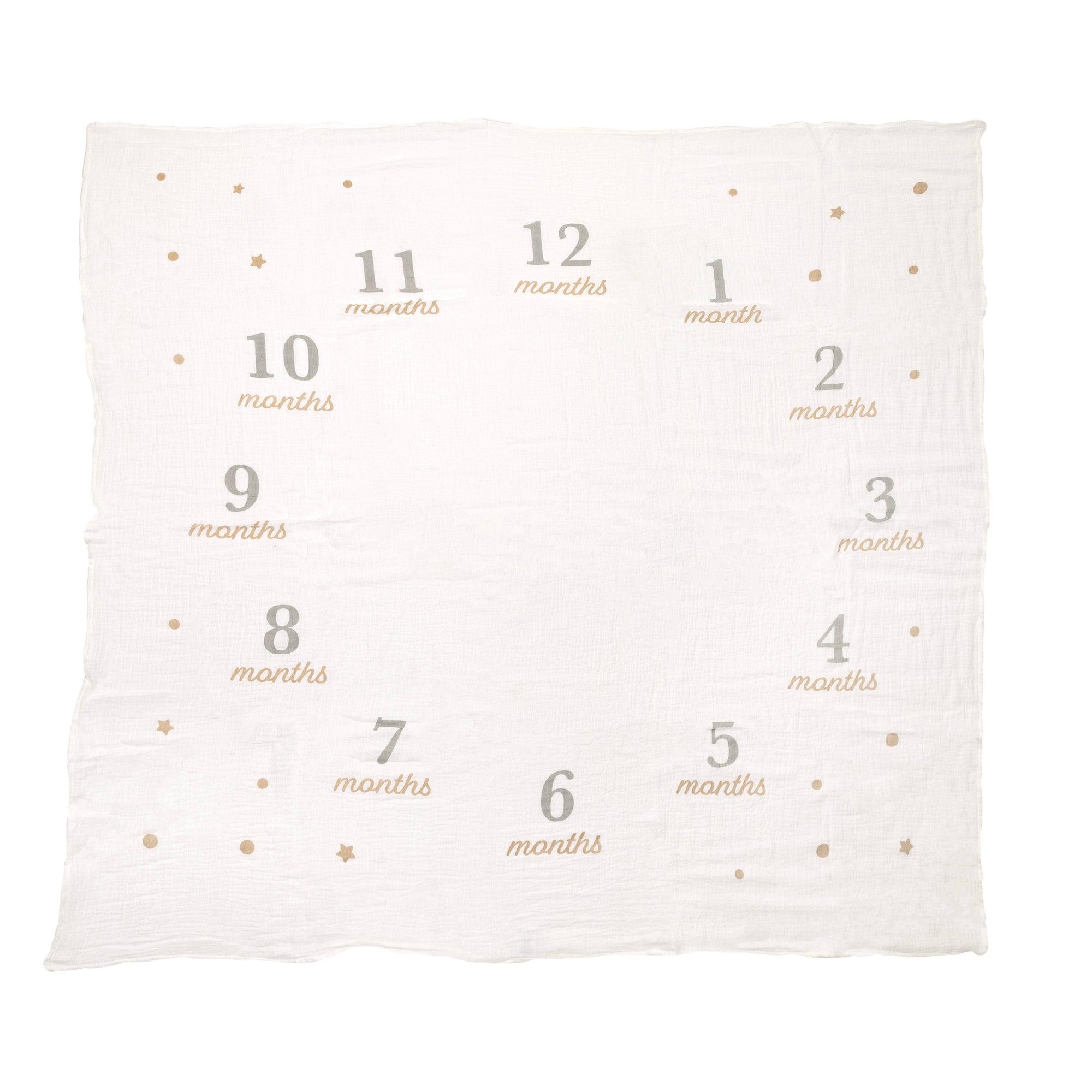 Monthly Milestone Blanket &amp; Photo Prop Set Kit, First Year