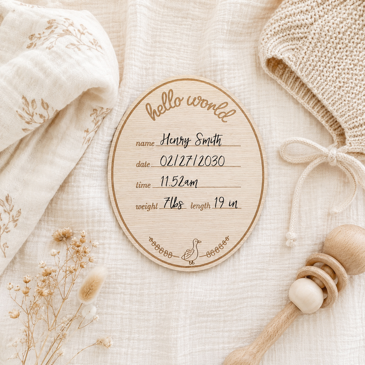 Hello Baby Goose Wooden Birth Announcement